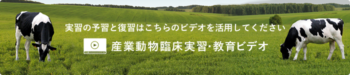 実習の予習と復習はこちらのビデオを活用してください「産業動物臨床実習・教育ビデオ」