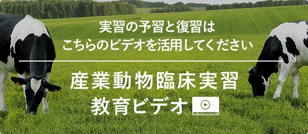 実習の予習と復習はこちらのビデオを活用してください「産業動物臨床実習・教育ビデオ」