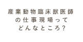 産業動物臨床獣医師の仕事現場ってどんなところ？