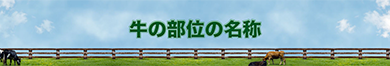 「牛の部位の名称」へのリンクボタン