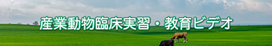 「産業動物臨床実習・教育ビデオ」へのリンクボタン